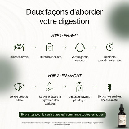Dawtox - Soutien Foie & Intestin